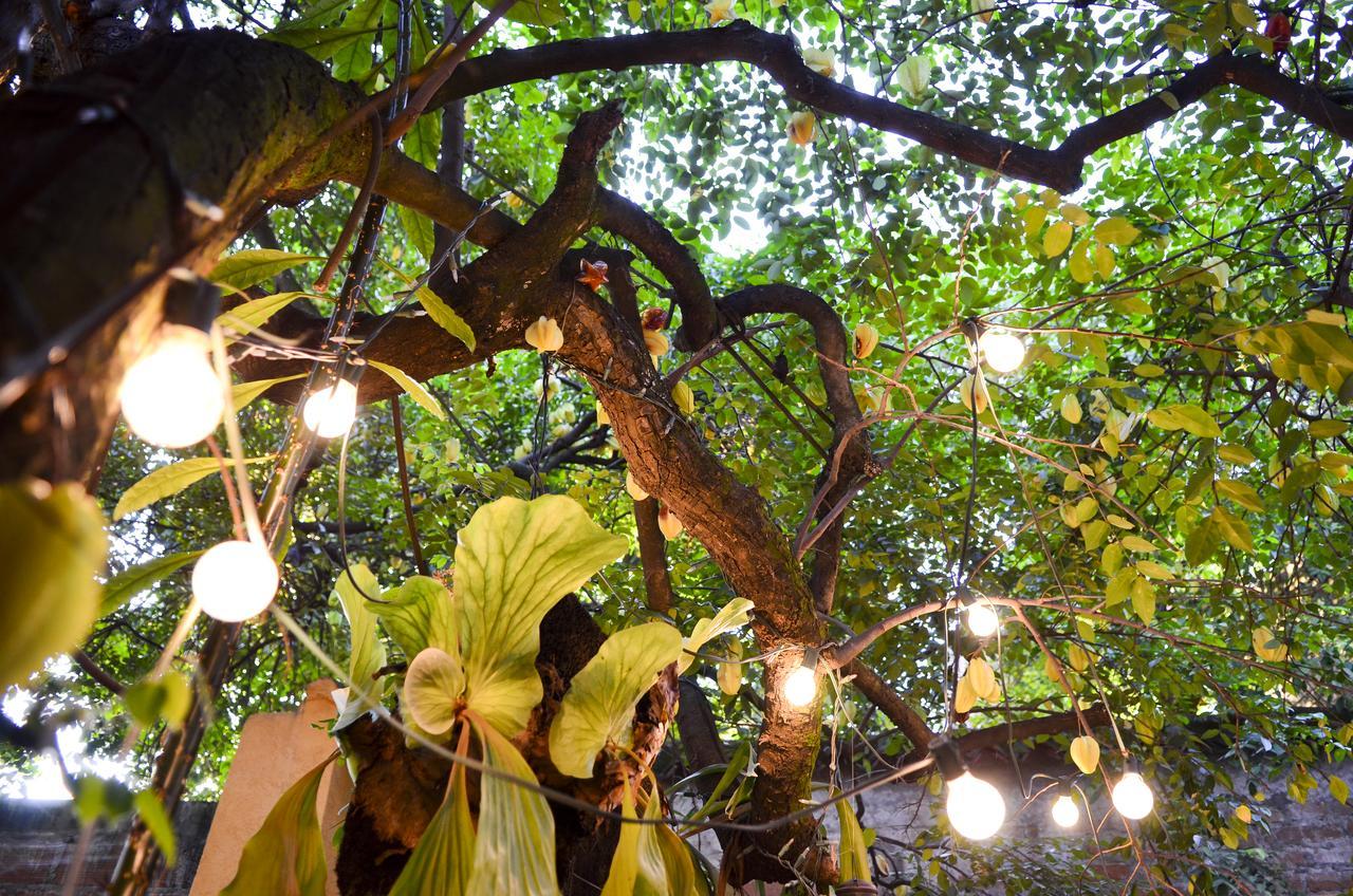 Magic Garden House Hotel Cali Luaran gambar